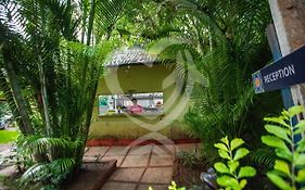 Zulu Land Cottages - Near Curlies Beach Shack And Shiva Valley - Beach