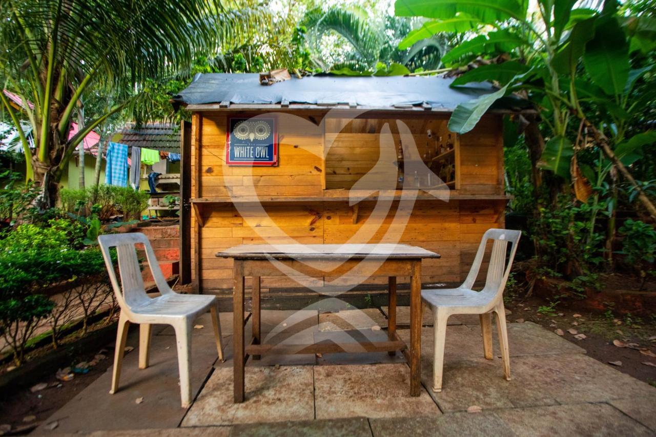 Zulu Land Cottages - Near Curlies Beach Shack And Shiva Valley - Anjuna Beach Buitenkant foto