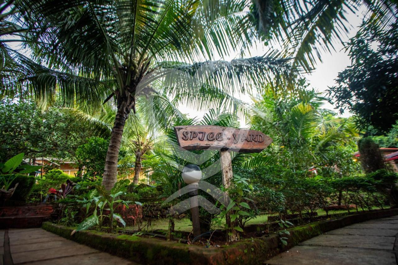 Zulu Land Cottages - Near Curlies Beach Shack And Shiva Valley - Anjuna Beach Buitenkant foto