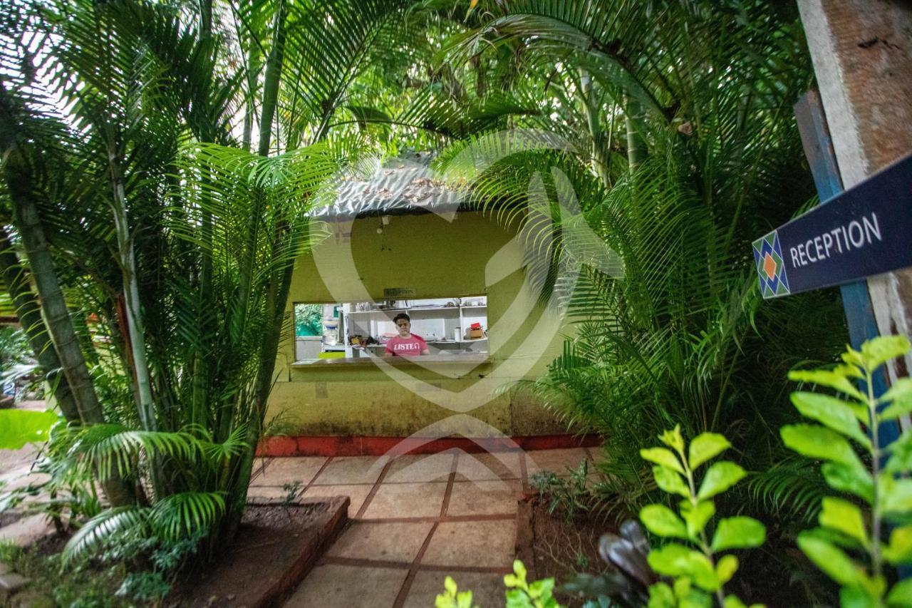 Zulu Land Cottages - Near Curlies Beach Shack And Shiva Valley - Anjuna Beach Buitenkant foto